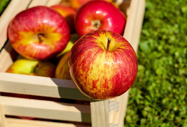 Co warto wiedzieć o bezpiecznym przechowywaniu jabłek?